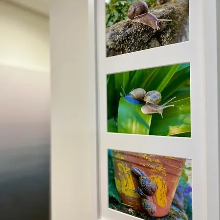 Appartement Seis Caracoles Salceda de Caselas