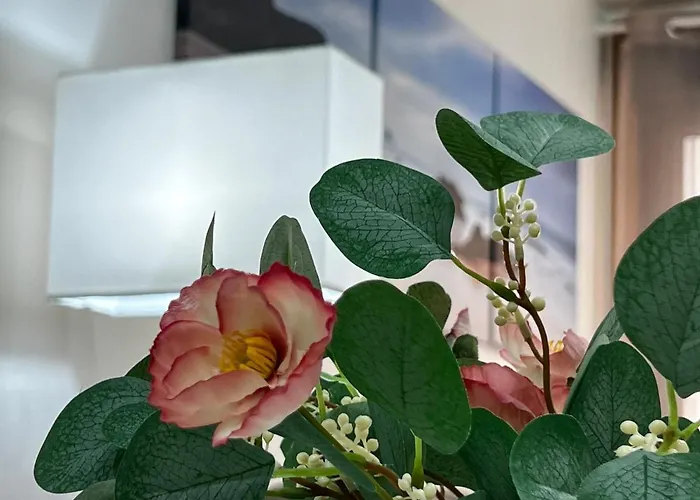 Seis Caracoles Daire *