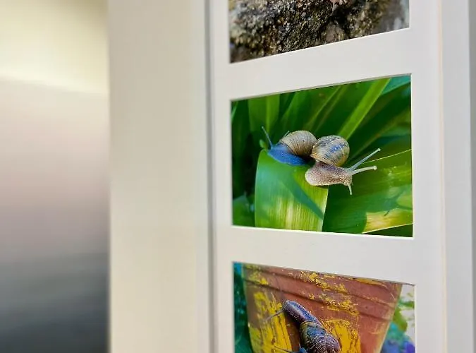 Daire Seis Caracoles Salceda de Caselas